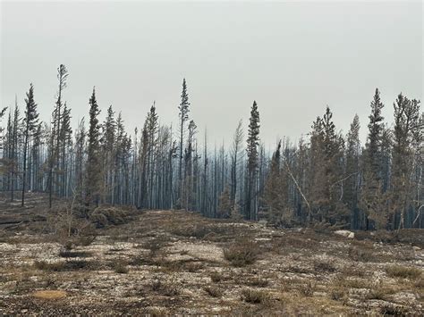 Residents ordered to evacuate the capital of Canada’s Northwest Territories as wildfires near